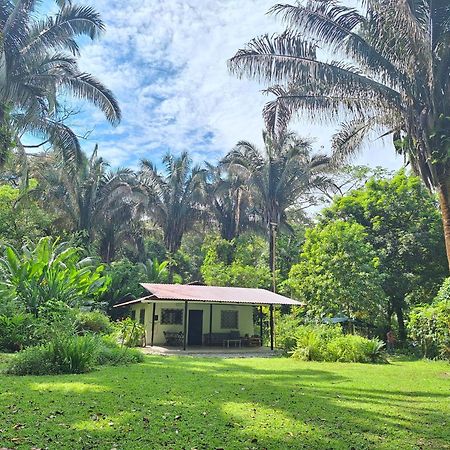 Four Monkeys Eco Lodge Jungle & Beach - The House Cabo Matapalo Exteriör bild