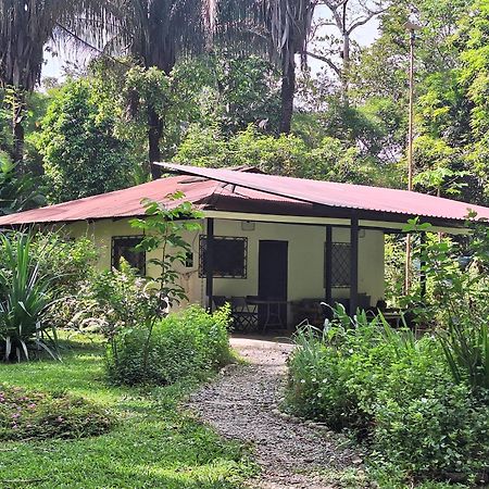 Four Monkeys Eco Lodge Jungle & Beach - The House Cabo Matapalo Exteriör bild