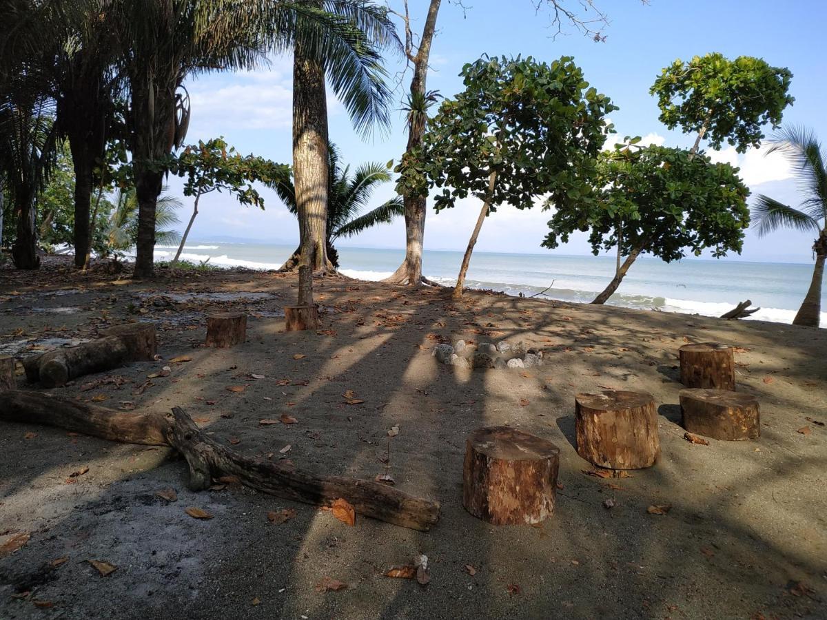Four Monkeys Eco Lodge Jungle & Beach - The House Cabo Matapalo Exteriör bild