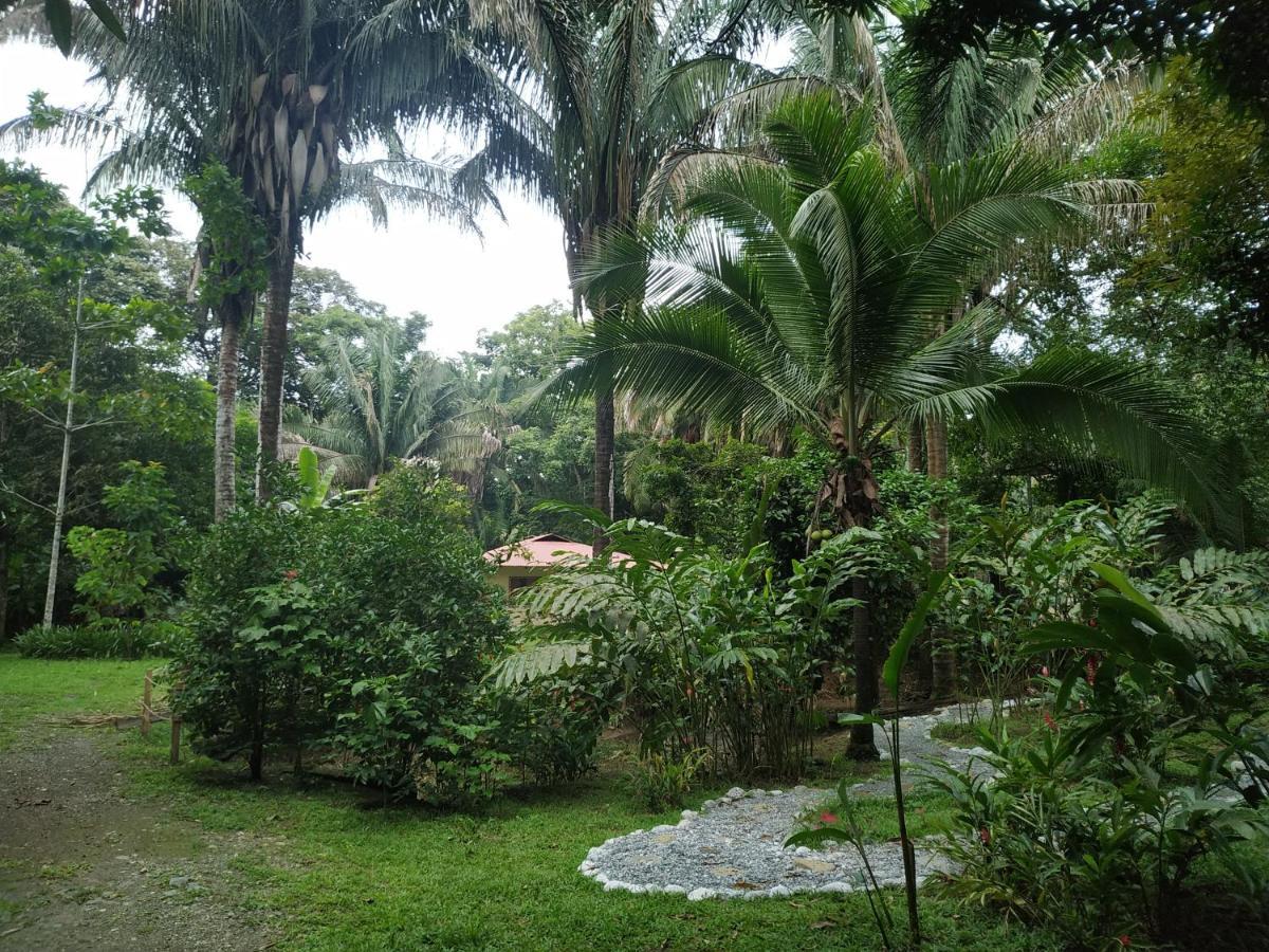 Four Monkeys Eco Lodge Jungle & Beach - The House Cabo Matapalo Exteriör bild