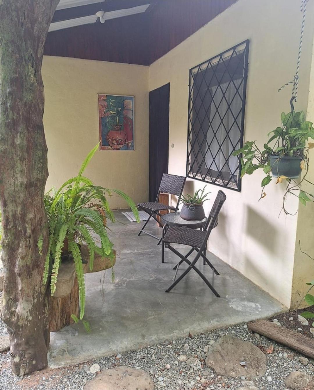 Four Monkeys Eco Lodge Jungle & Beach - The House Cabo Matapalo Exteriör bild