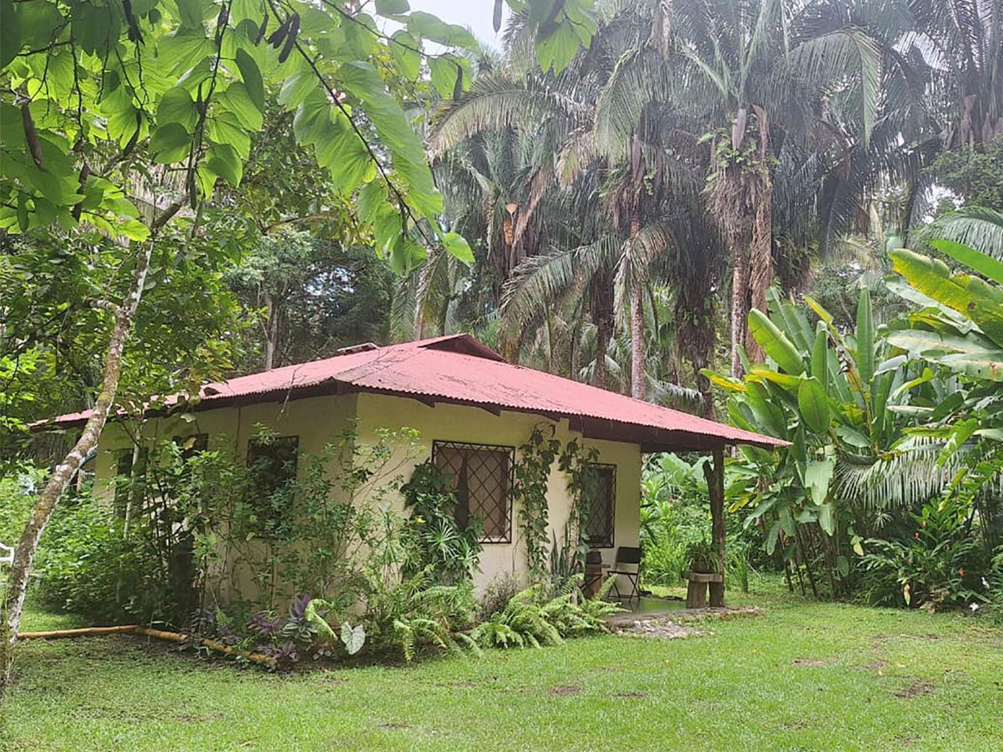 Four Monkeys Eco Lodge Jungle & Beach - The House Cabo Matapalo Exteriör bild