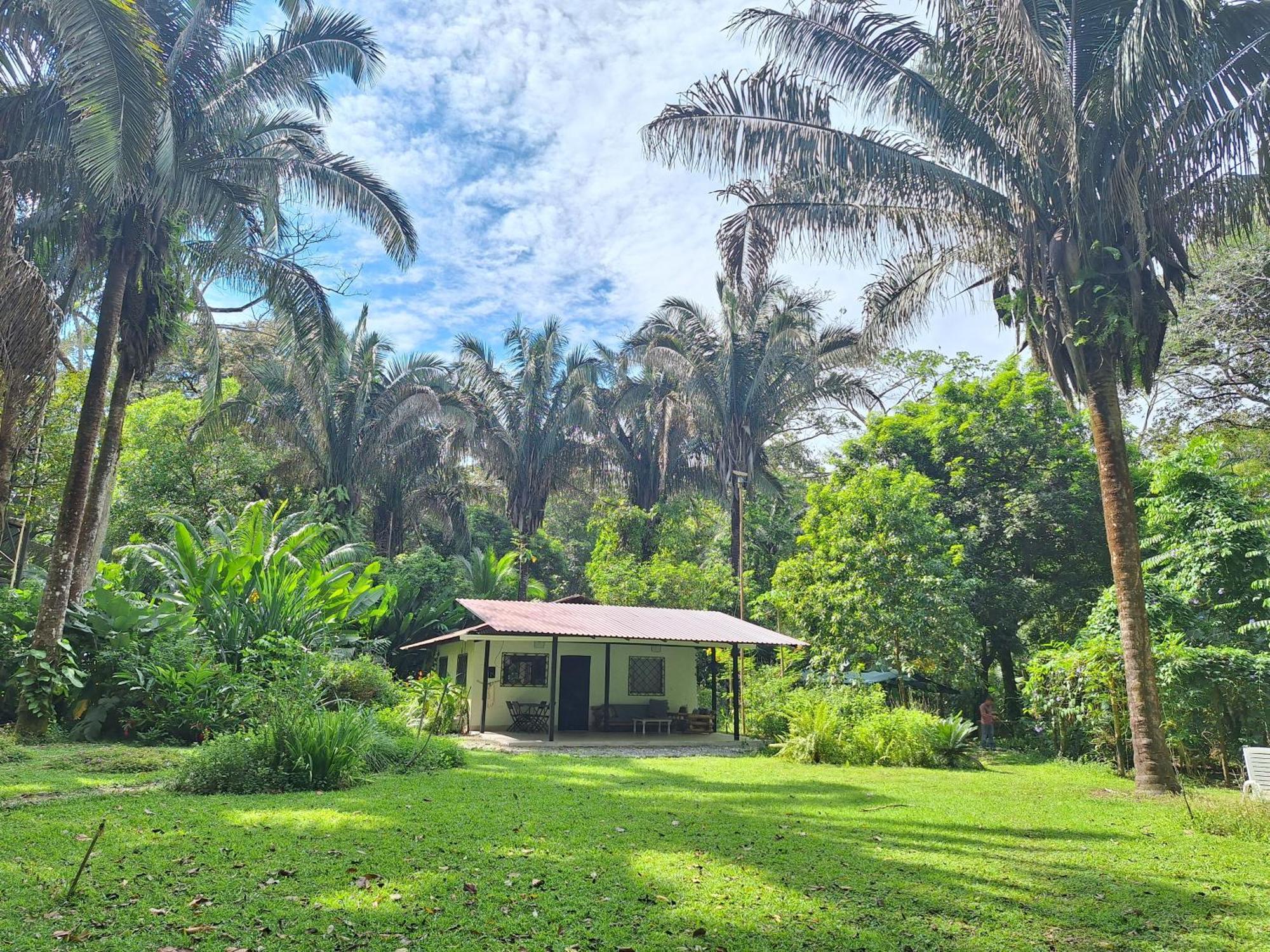 Four Monkeys Eco Lodge Jungle & Beach - The House Cabo Matapalo Exteriör bild