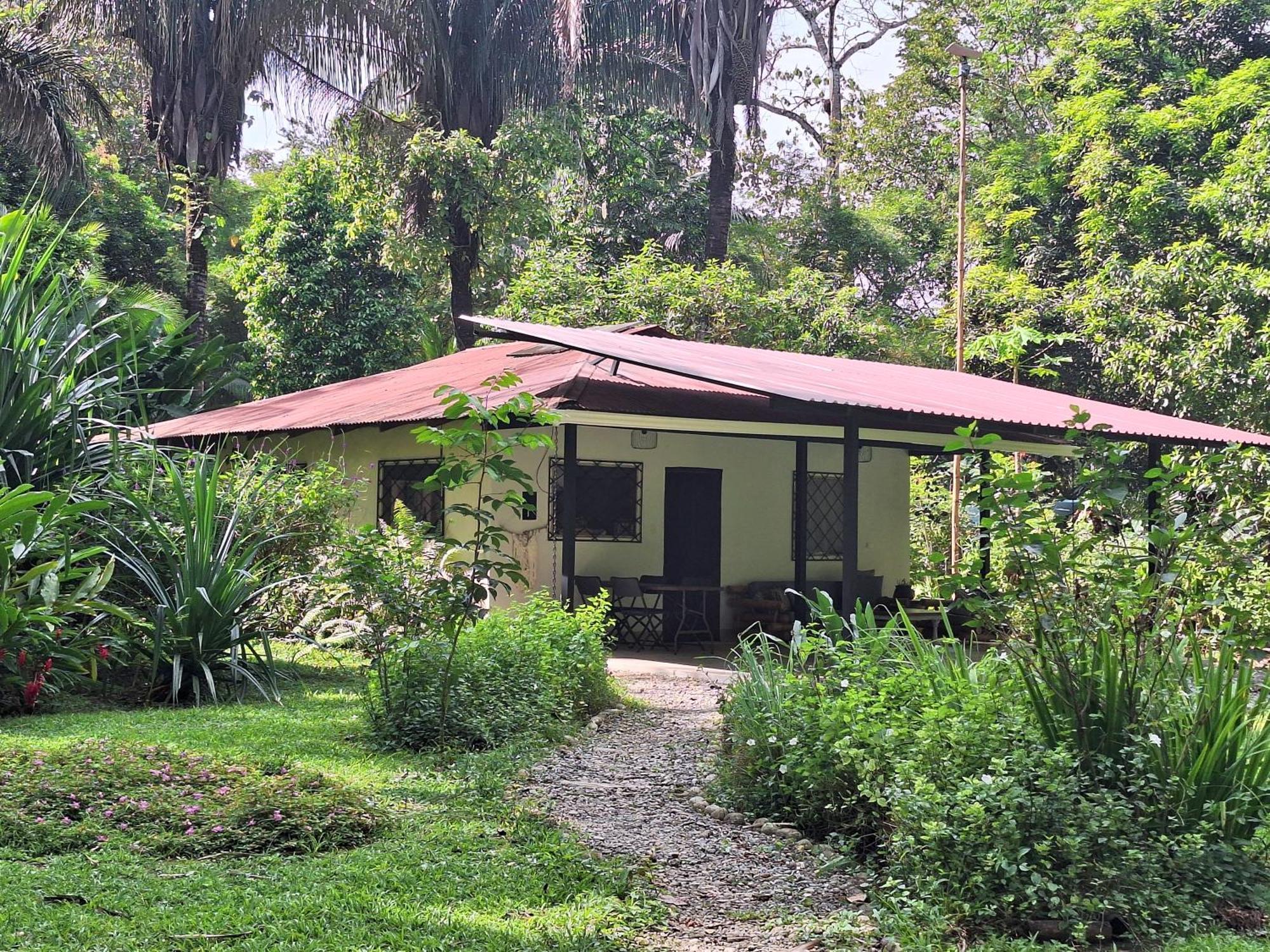 Four Monkeys Eco Lodge Jungle & Beach - The House Cabo Matapalo Exteriör bild